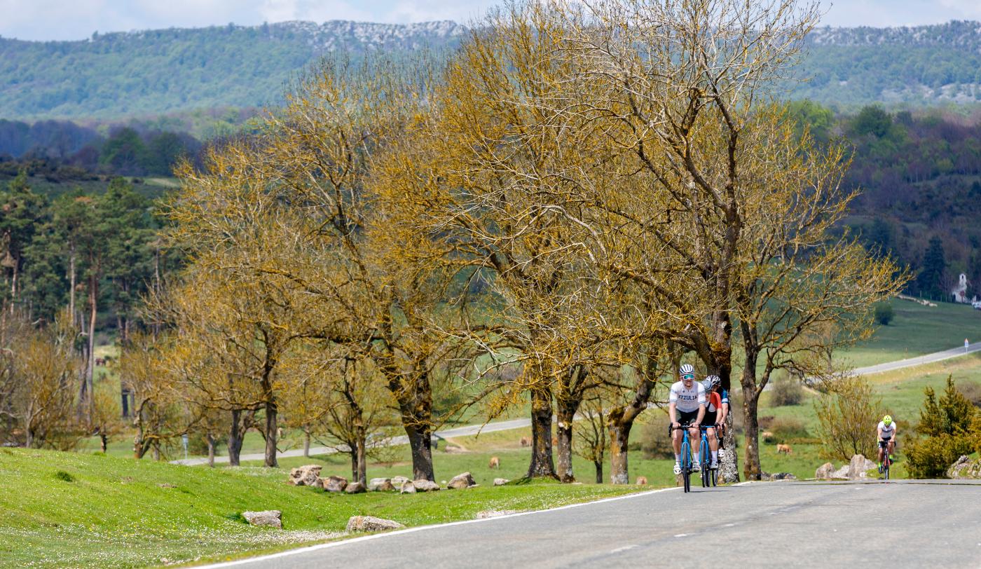 Navarra en bici de carretera